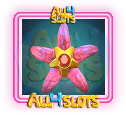 STAR FISH